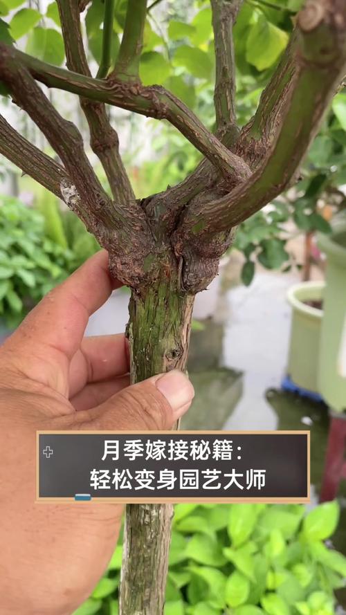 五、总结与核心可执行动作