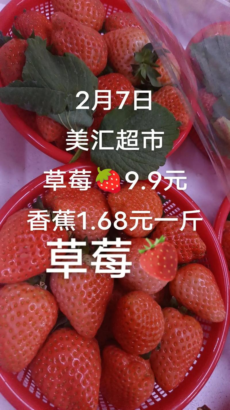 产地影响：南北价差与物流成本挂钩