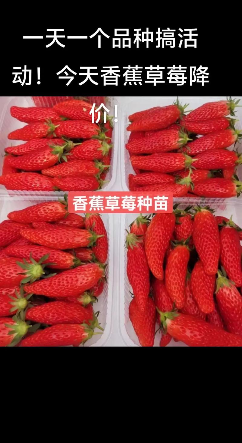 咨询指南