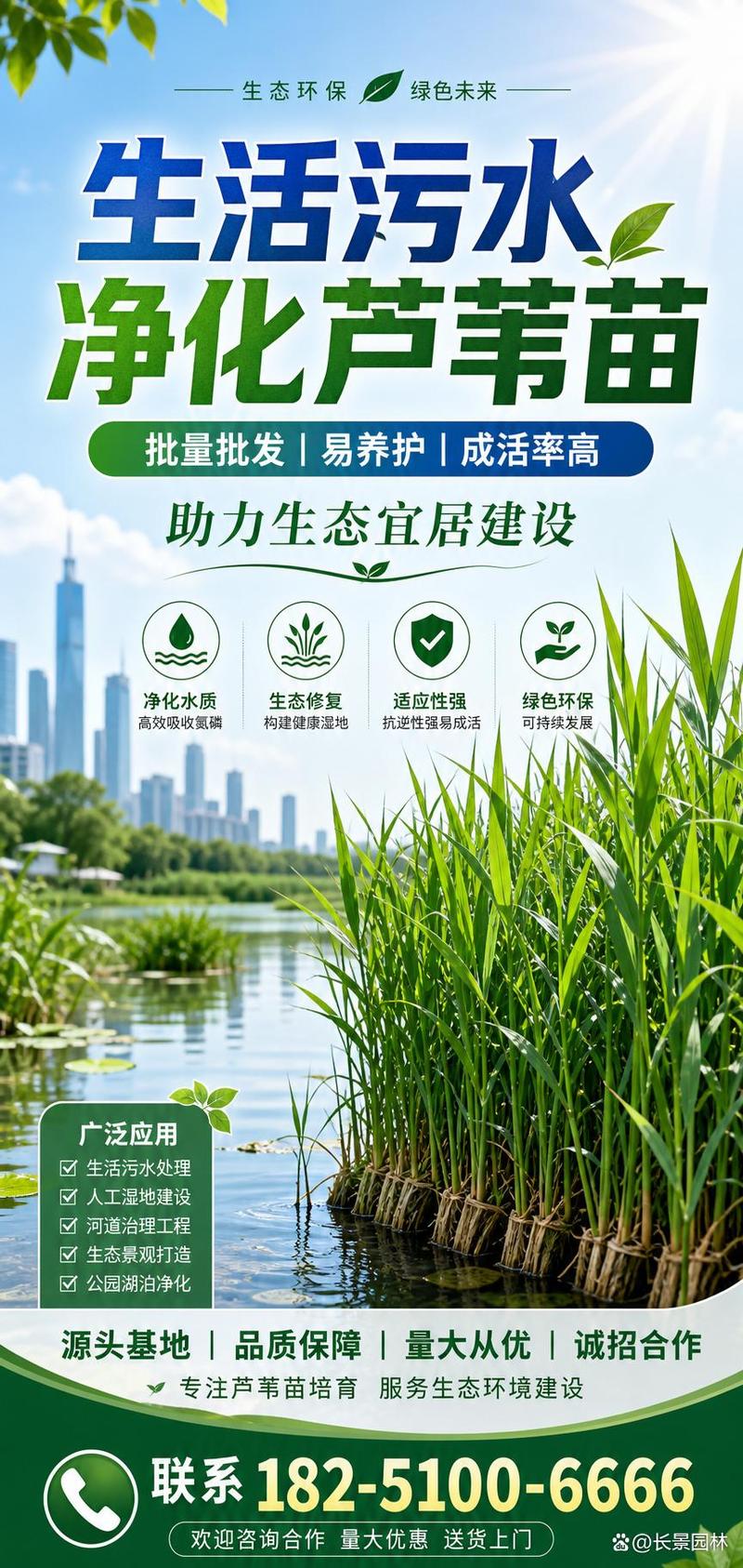 咨询指南