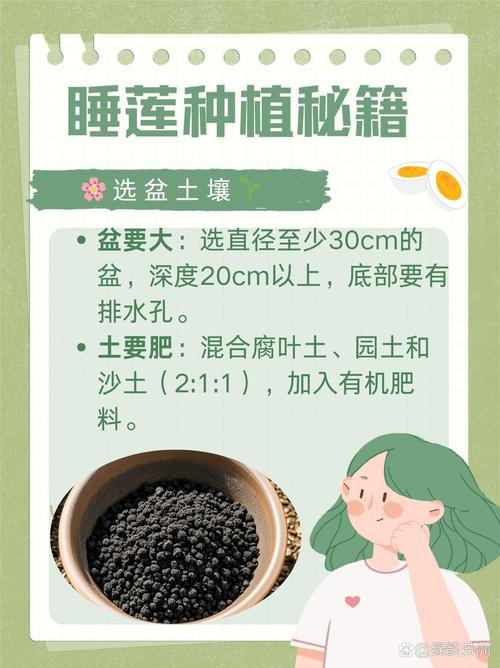 睡莲需要什么土种植最好?专家给出最佳土壤配方与操作指南 警惕“湖泥陷阱”:一份可直接照搬的土壤配方