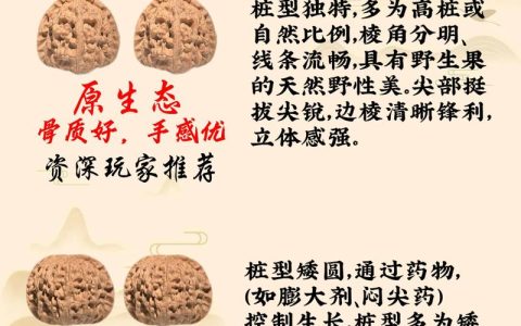 野生核桃与普通核桃的区别及种植选购全攻略