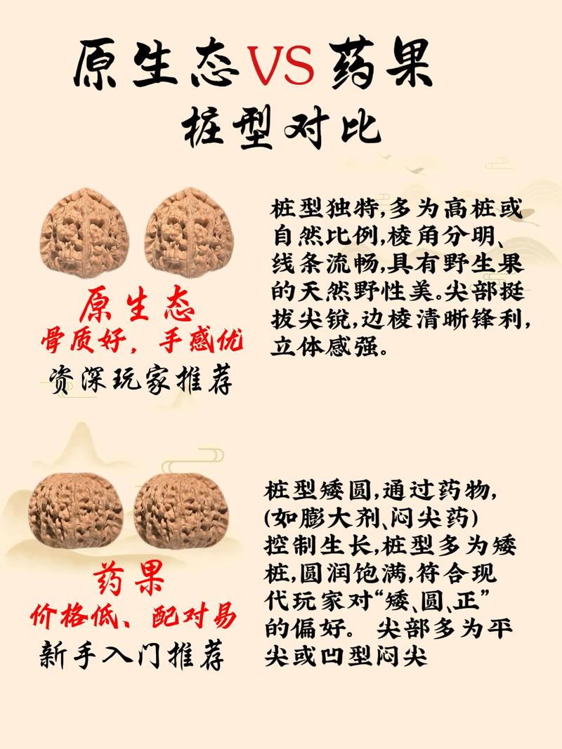野生核桃与普通核桃的区别及种植选购全攻略 野生核桃与普通核桃的区别及种植选购全攻略