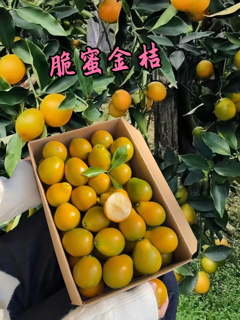 各维度逻辑解释