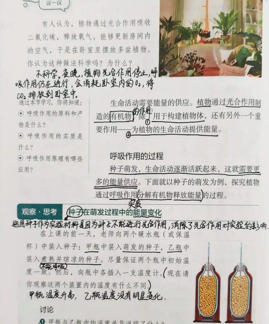 植物的呼吸作用：吸收与释放的奥秘及其对药食同源植物的影响
