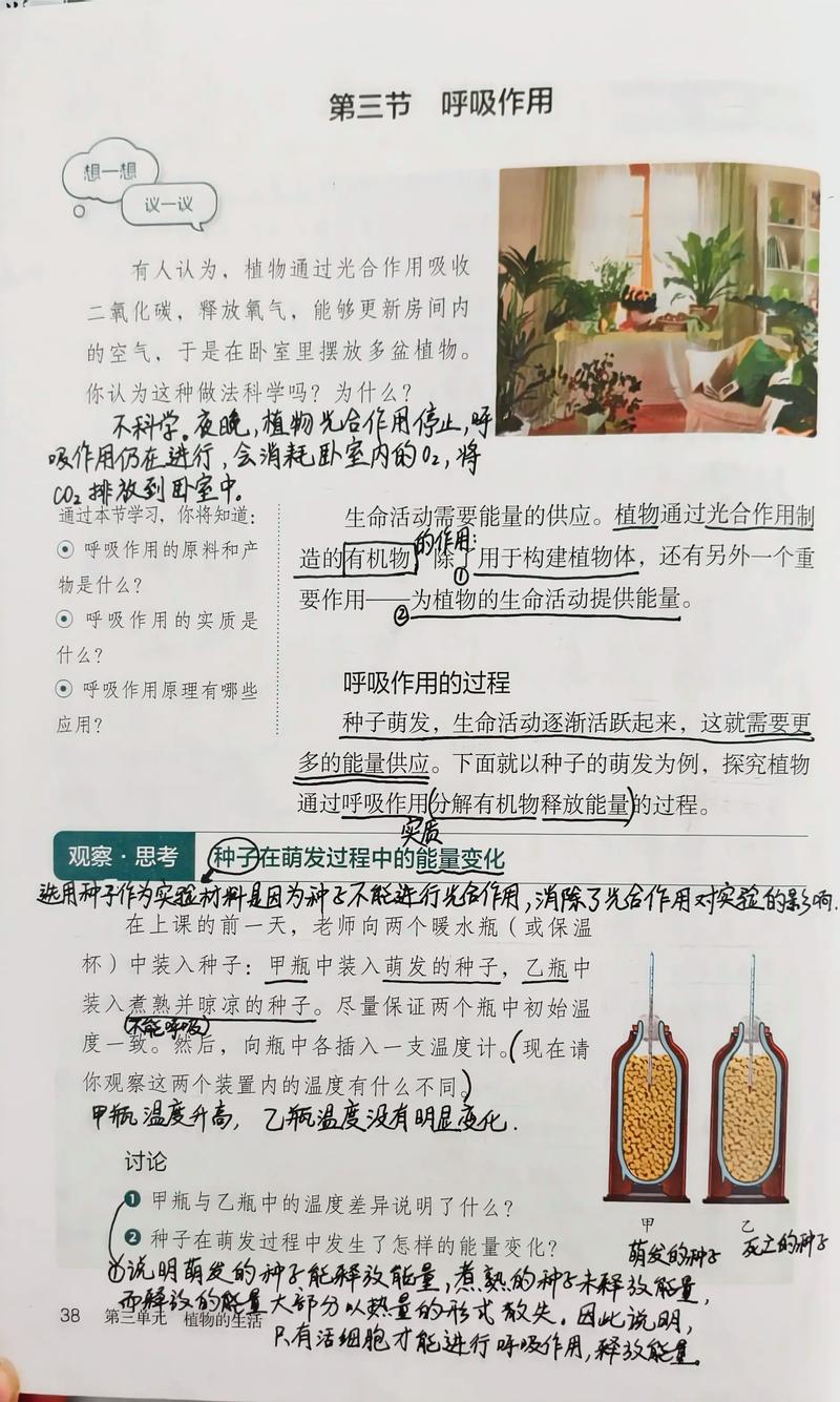 植物的呼吸作用:吸收与释放的奥秘及其对药食同源植物的影响 植物的呼吸作用:吸收与释放的奥秘及其对药食同源植物的影响