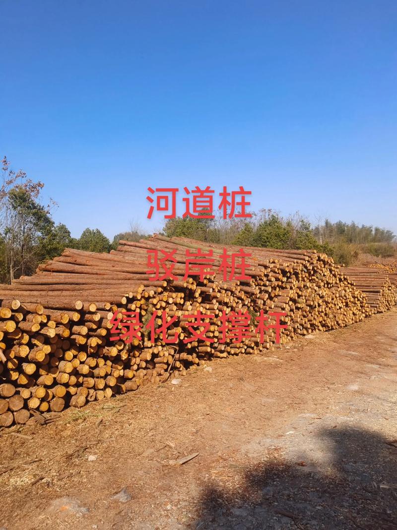 产地：区域定价差异显著