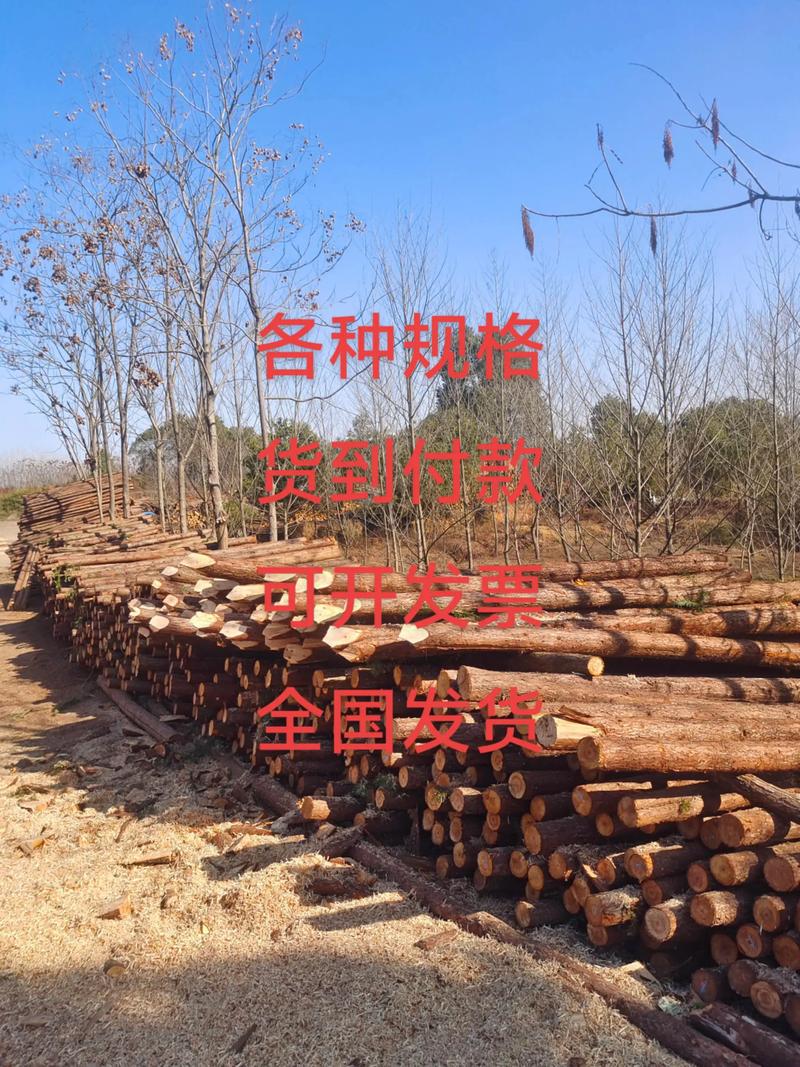 季节：淡旺季价差可达20%