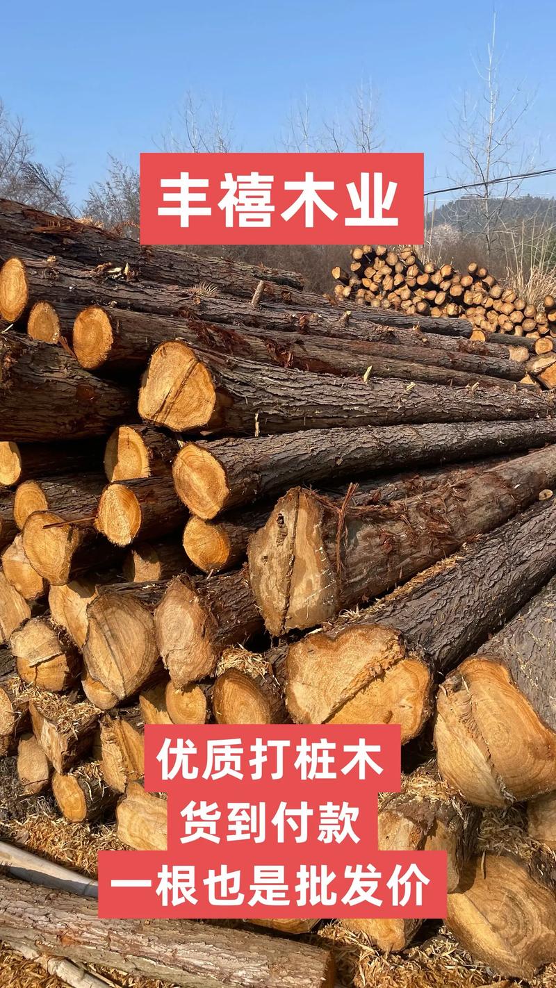 五大因素价格参考表
