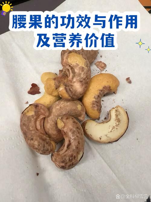 腰果树种植与腰果食用问答:腰果可以一块吃吗? 结语