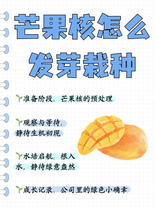 芒果可以种吗?从选苗到结果,这份实操指南全告诉你 品种选择与结果年限:嫁接苗第3年挂果,盛果期产量高