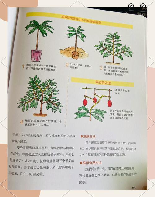 芒果可以种吗?从选苗到结果,这份实操指南全告诉你 成活注意事项:关注萎蔫与烂根