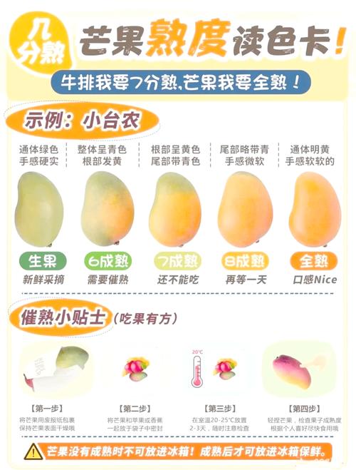 芒果可以种吗?从选苗到结果,这份实操指南全告诉你 授粉需求:配置授粉树提高坐果率