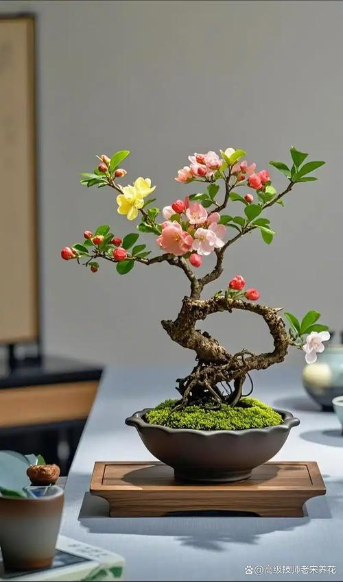 修剪促花系统指导