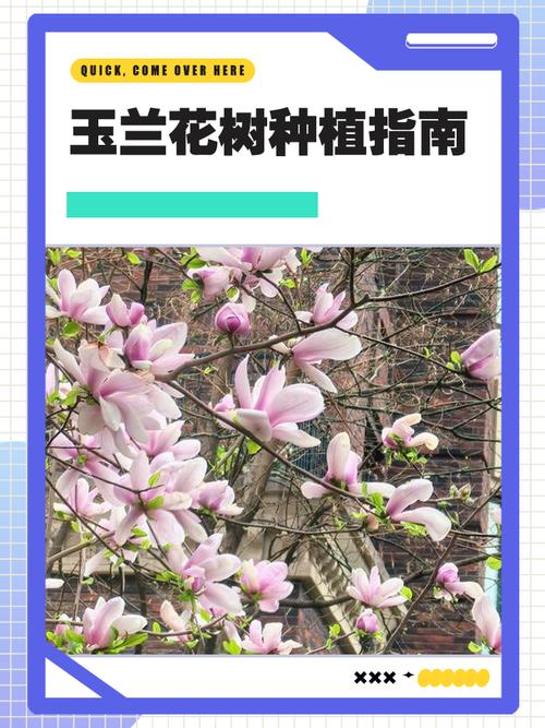 栽植深度：根茎结合部必须与地面平齐