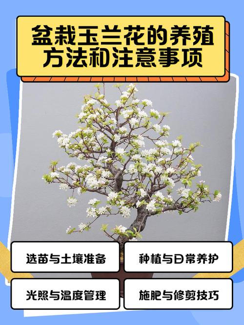 成活注意事项：防积水和防倒伏是两大关键