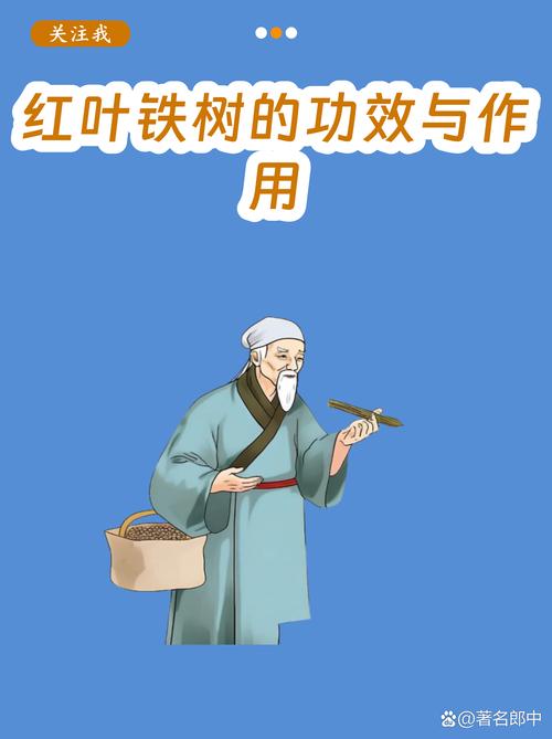 铁树子有什么用处?从药用价值到观赏栽培全解析 二、繁殖播种:让铁树子变成新植株