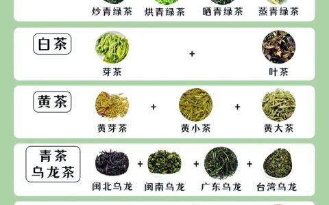 白茶、红茶与绿茶的六大维度区别及选购指南