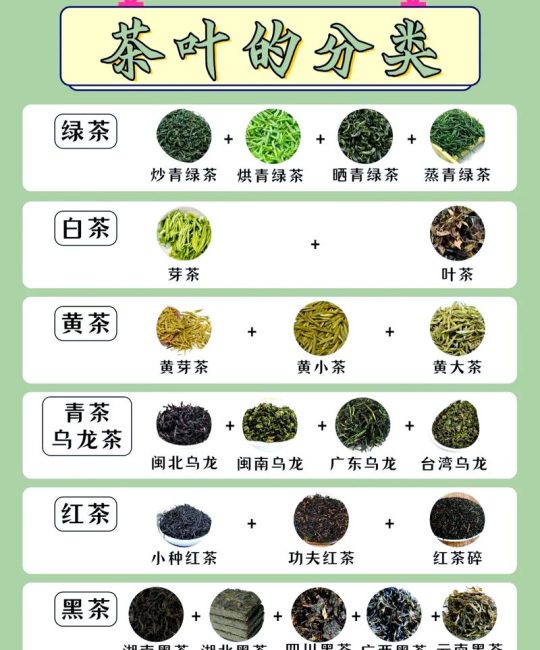 白茶、红茶与绿茶的六大维度区别及选购指南