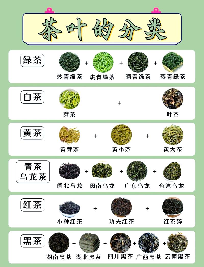 白茶、红茶与绿茶的六大维度区别及选购指南 白茶、红茶与绿茶的六大维度区别及选购指南