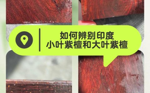 小叶紫檀 vs 沉香木：6大维度对比，帮你选对树种