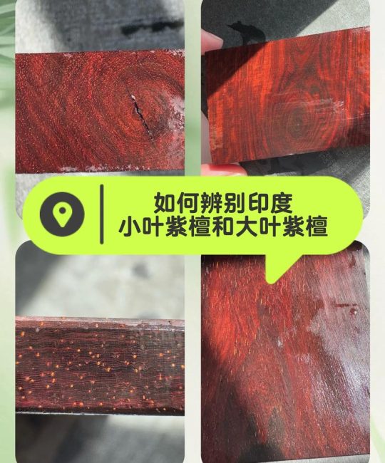 小叶紫檀 vs 沉香木：6大维度对比，帮你选对树种