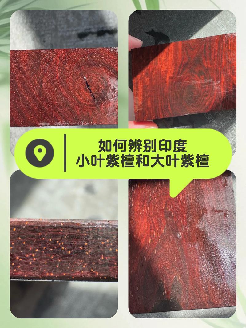 小叶紫檀 vs 沉香木:6大维度对比,帮你选对树种 一、6维度对比总表