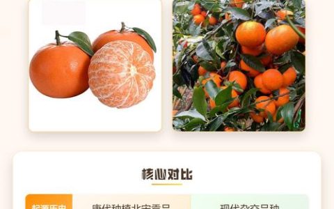 沃柑和橙子有什么区别？种植、口感与经济价值全解析