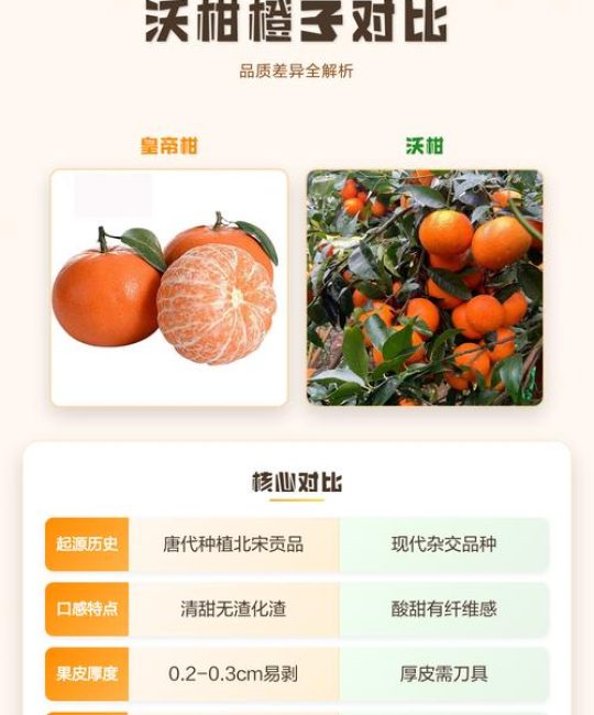 沃柑和橙子有什么区别？种植、口感与经济价值全解析