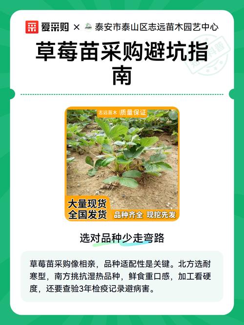 综合评估与结论