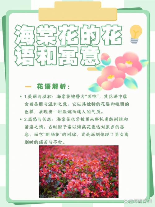海棠花在男女之间代表什么?——从花语到养护的完整解读 修剪促花系统指导