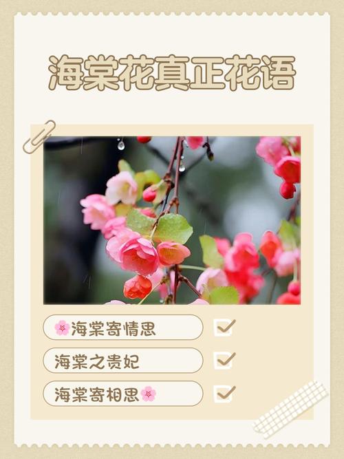 海棠花在男女之间代表什么?——从花语到养护的完整解读 总结