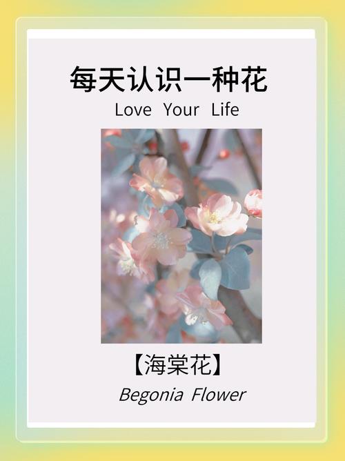 海棠花在男女之间代表什么?——从花语到养护的完整解读 常见问题(FAQ)