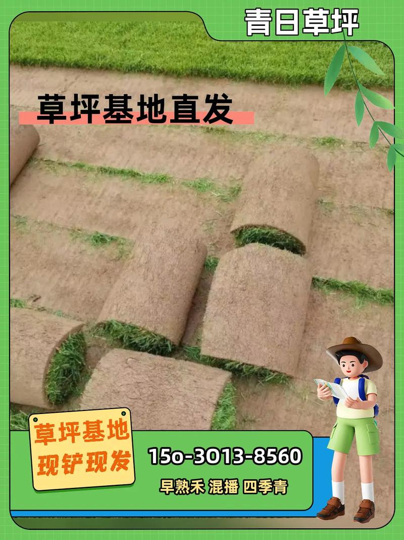 果岭草草坪多少钱一个平方?2026年最新价格参考与影响因素全解析 咨询指南:如何获取精准报价?