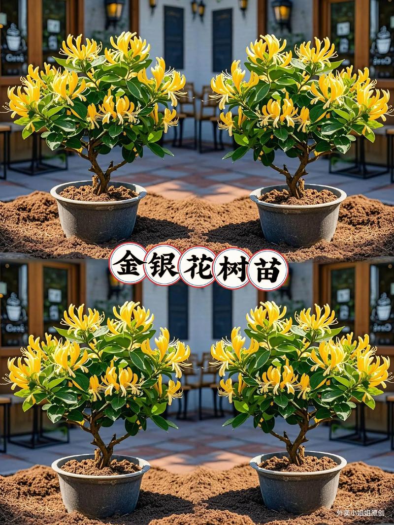 产地对价格的影响
