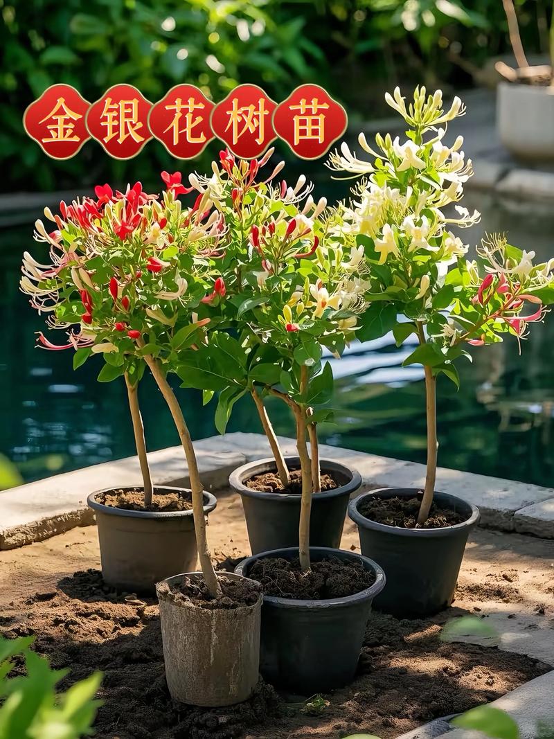 运输对价格的影响