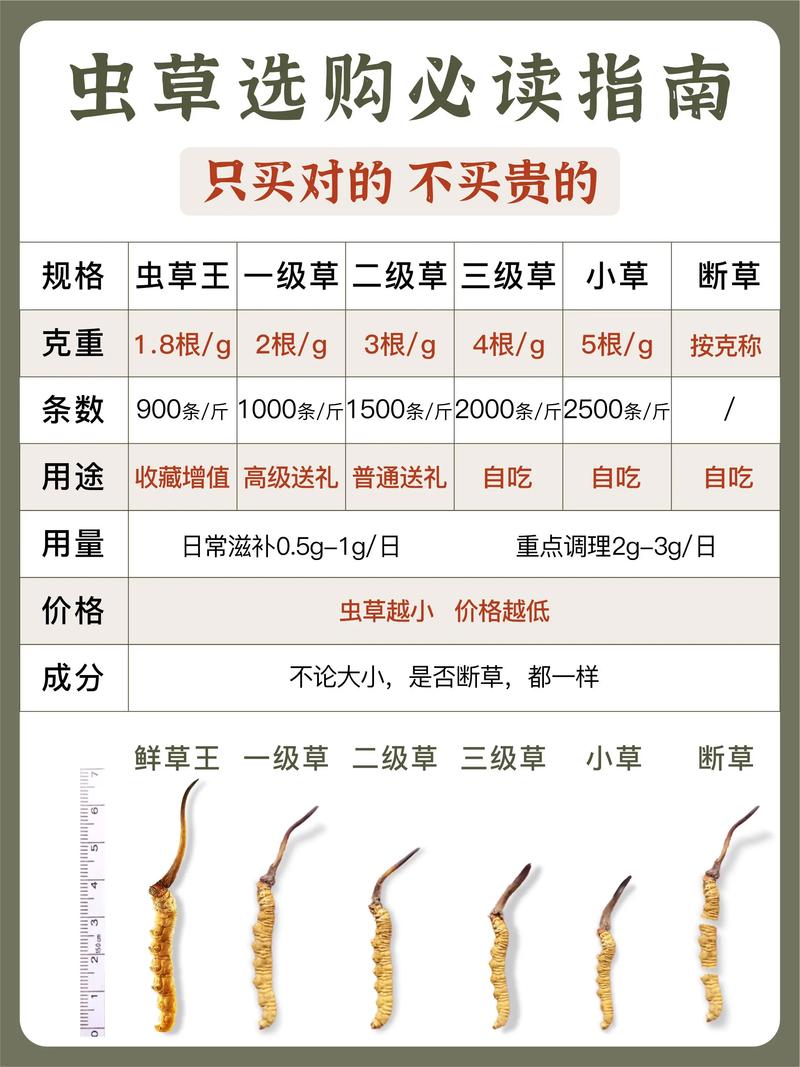 冬虫夏草园艺种植指南:从选种到收获,半斤虫草有多少根? 一、虫草种植的基础条件