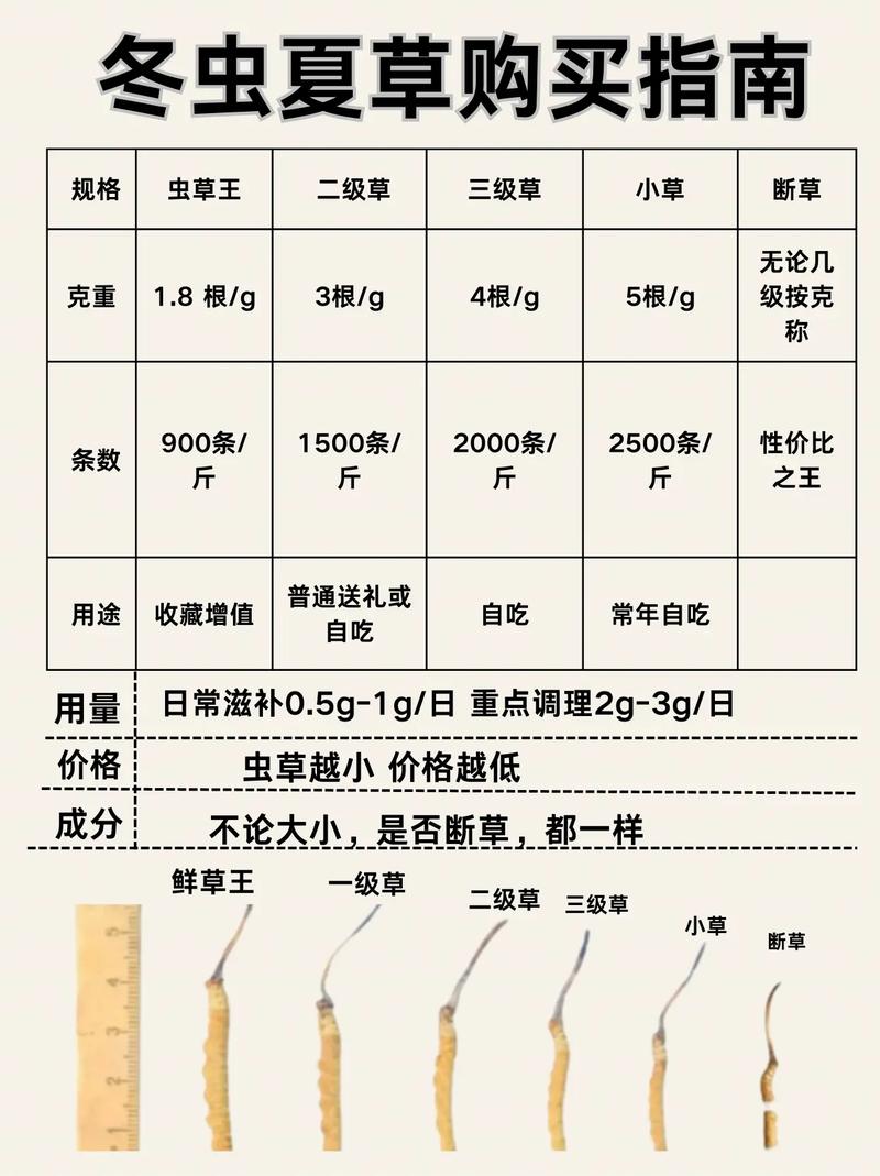 冬虫夏草园艺种植指南:从选种到收获,半斤虫草有多少根? 二、种植步骤详解