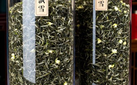 茉莉花茶几月份出新茶？2026年春茉莉与夏茉莉上市时间表