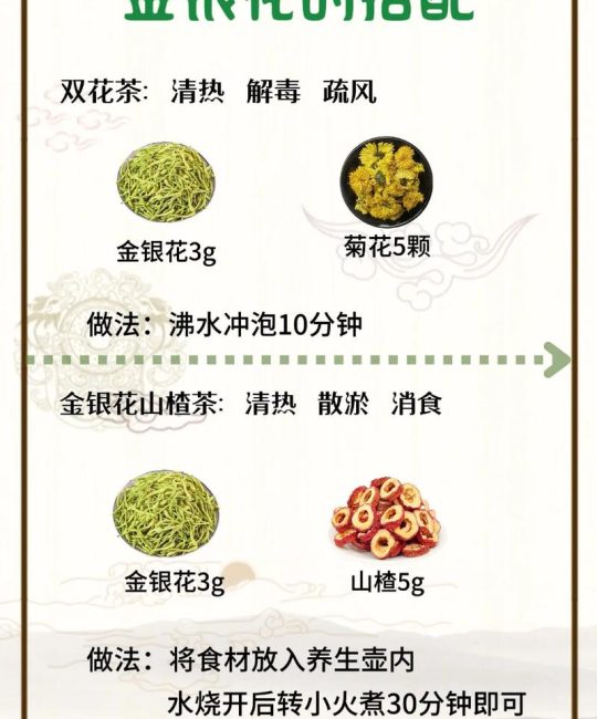 常喝金银花泡水有什么好处？中医师带你从食用、药用、安全性三大维度全面了解