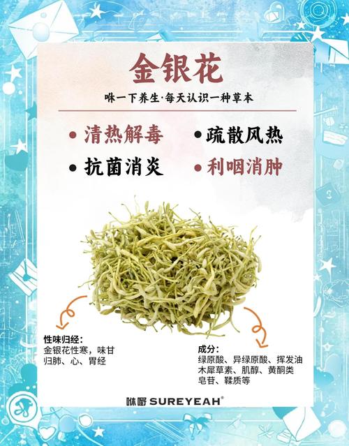 四、安全性板块：哪些人不能喝？喝错有什么风险？