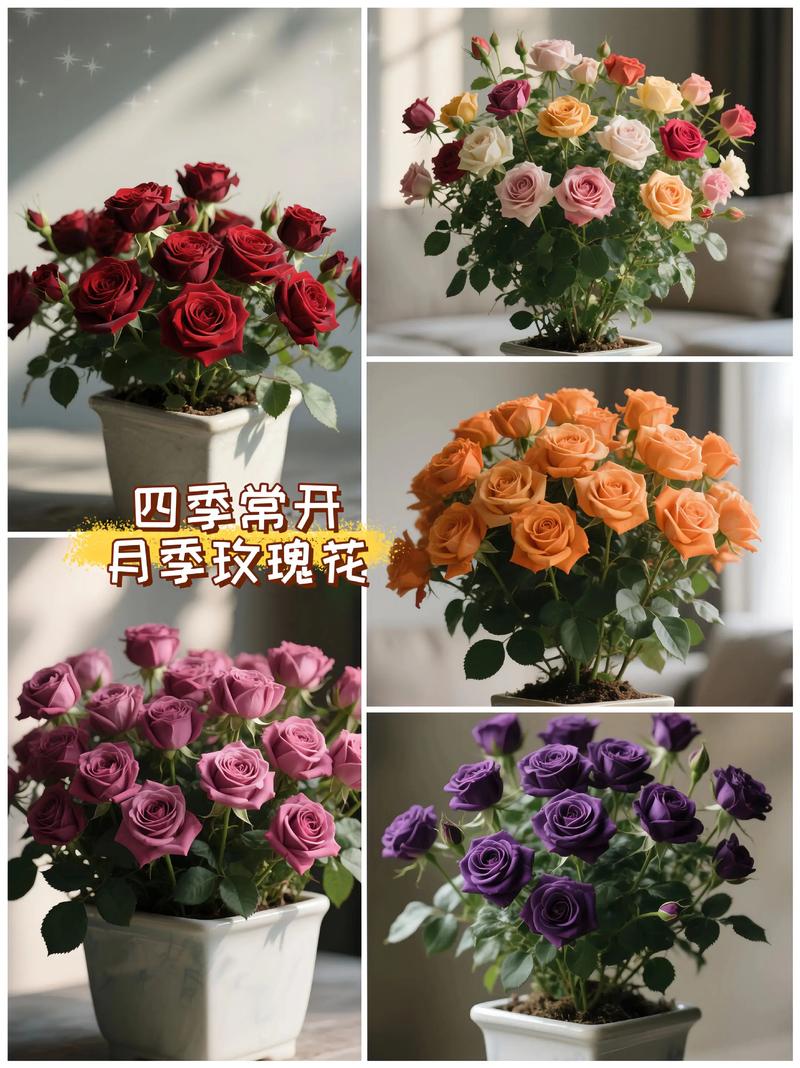 修剪促花系统指导：越剪越开