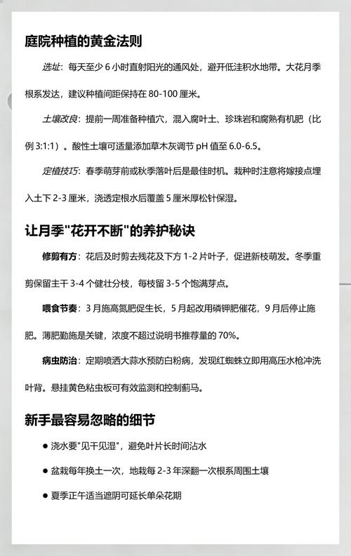 盆栽与地栽选择决策：3个判断标准