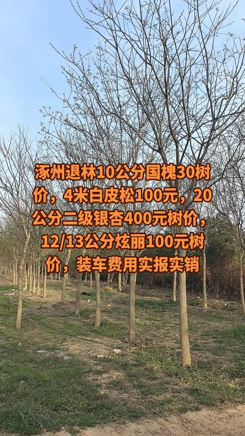 数量折扣：规模效应明显，千株以上单价降20%-30%
