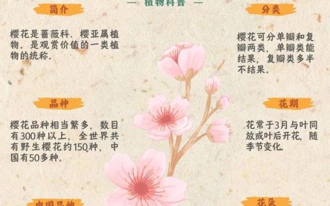 樱花是日本的国花吗？园艺视角下的真相与养护指南