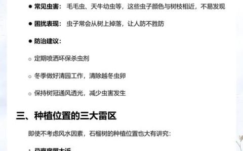 家种石榴树的忌讳与科学种植指南