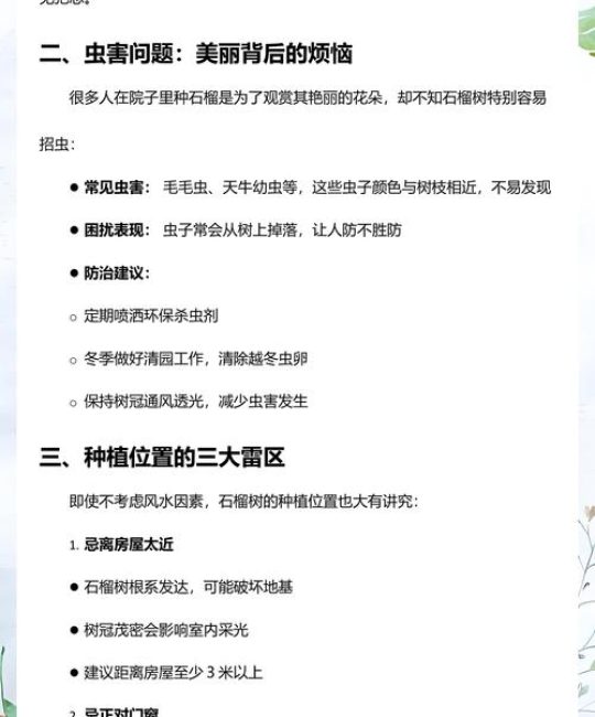 家种石榴树的忌讳与科学种植指南