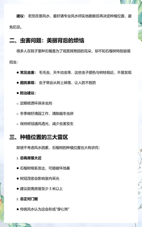 家种石榴树的忌讳与科学种植指南 家种石榴树的忌讳与科学种植指南