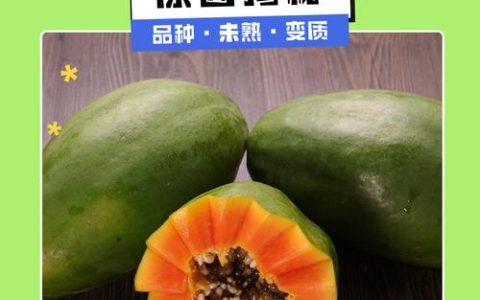 木瓜好苦是怎么回事？原因解析与解决方法