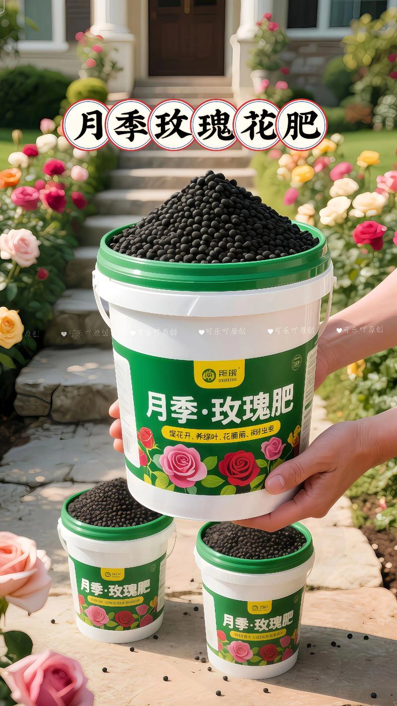 玫瑰花施什么肥最好?月季全年施肥精准方案与养护指南 光照与水肥精准方案
